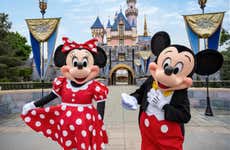 Billet pour Disneyland® Park ou Disney California Adventure® Park